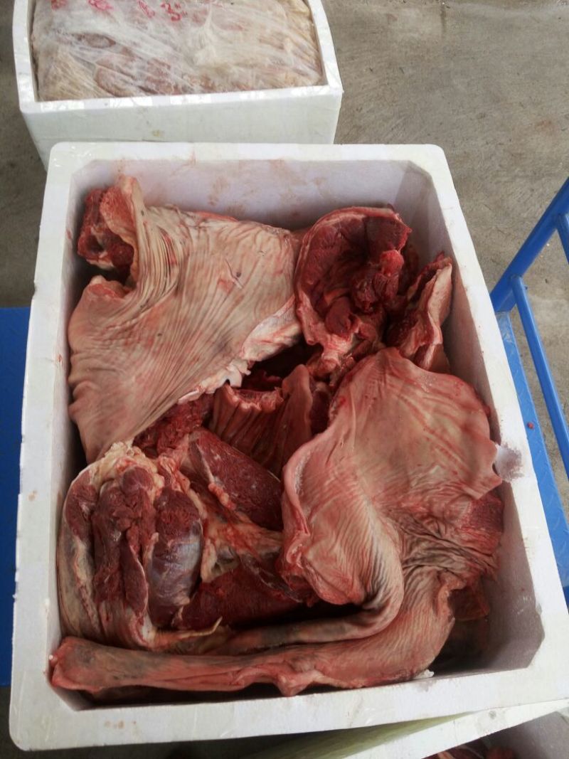 驴肉