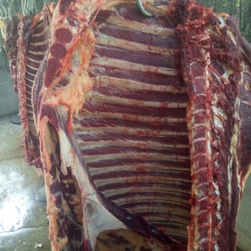 驴肉鲜货