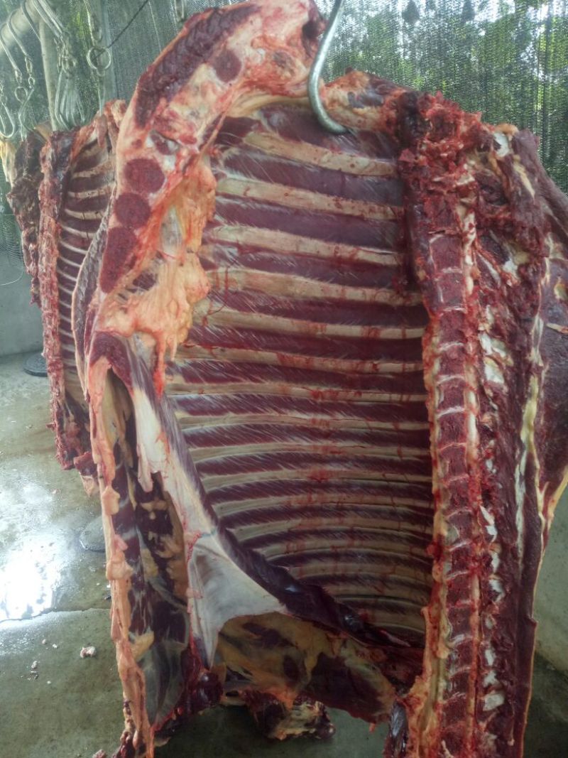 驴肉鲜货