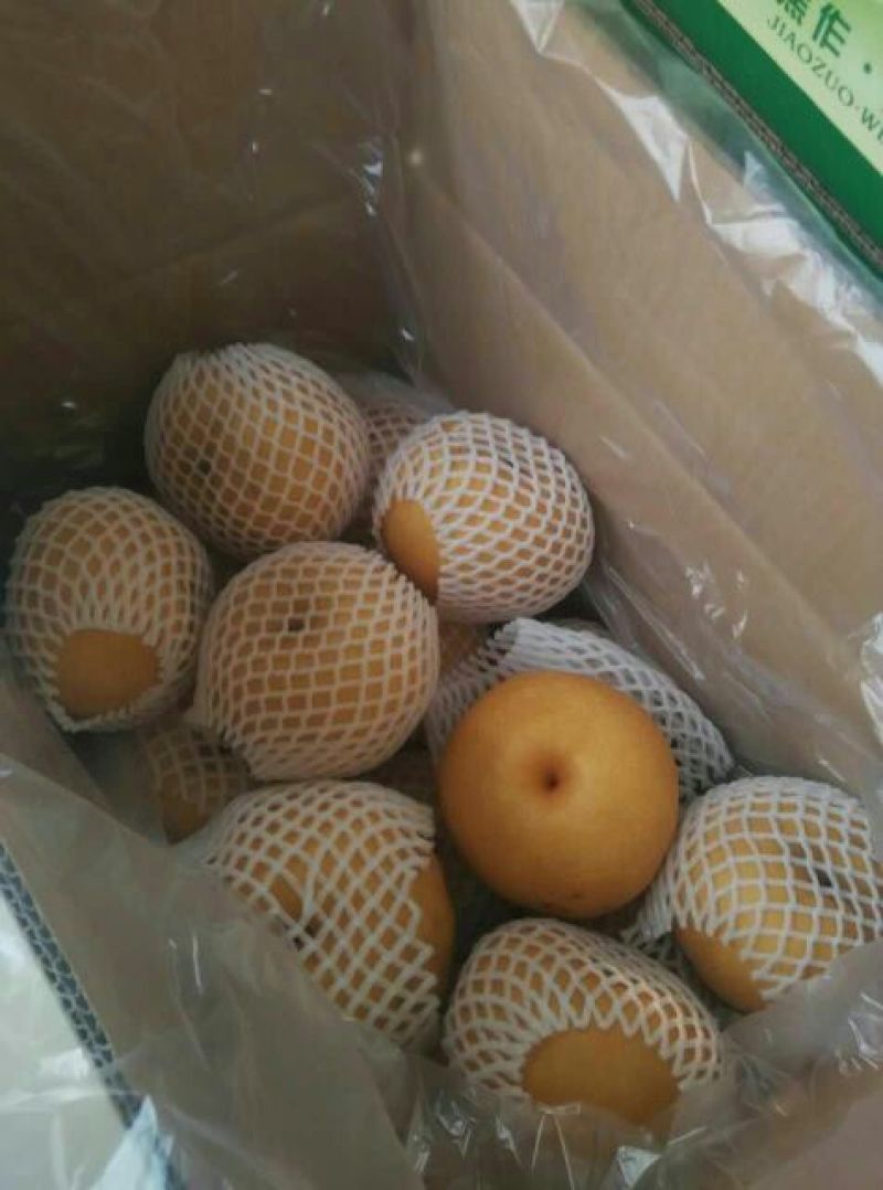 晚秋黄梨500~550g纸箱