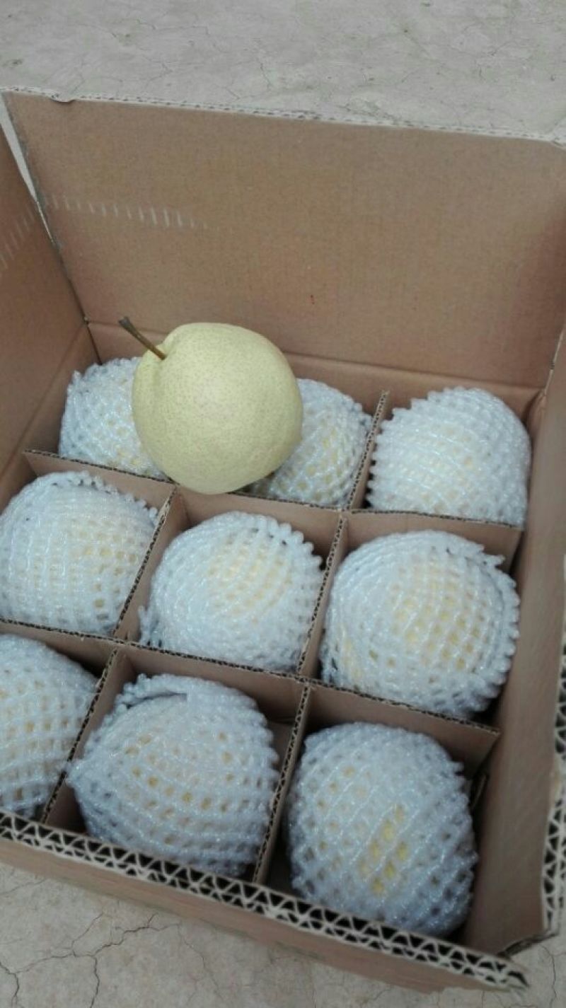 酥梨200~250g纸袋