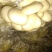 平菇菌种栽培种，一手好货，欢迎咨询采购。