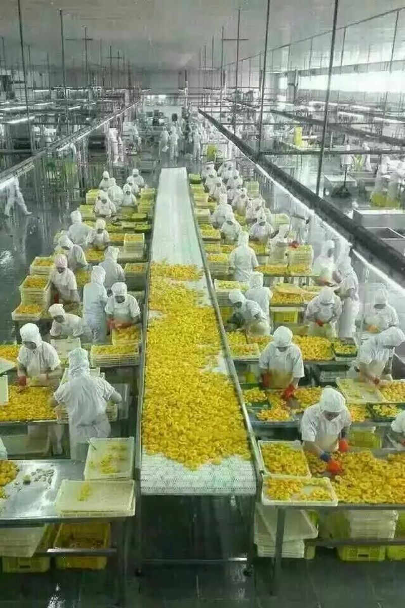 黄桃罐头