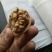 新疆185核桃去皮干