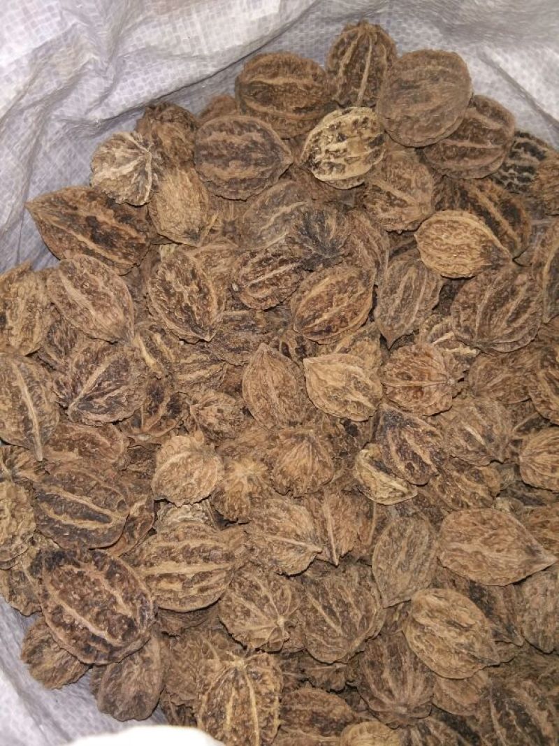文玩核桃去皮后清洗纯干品