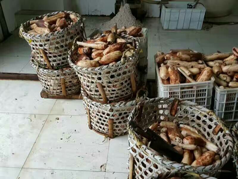 藕粉