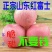 山东烟台红富士苹果纸袋