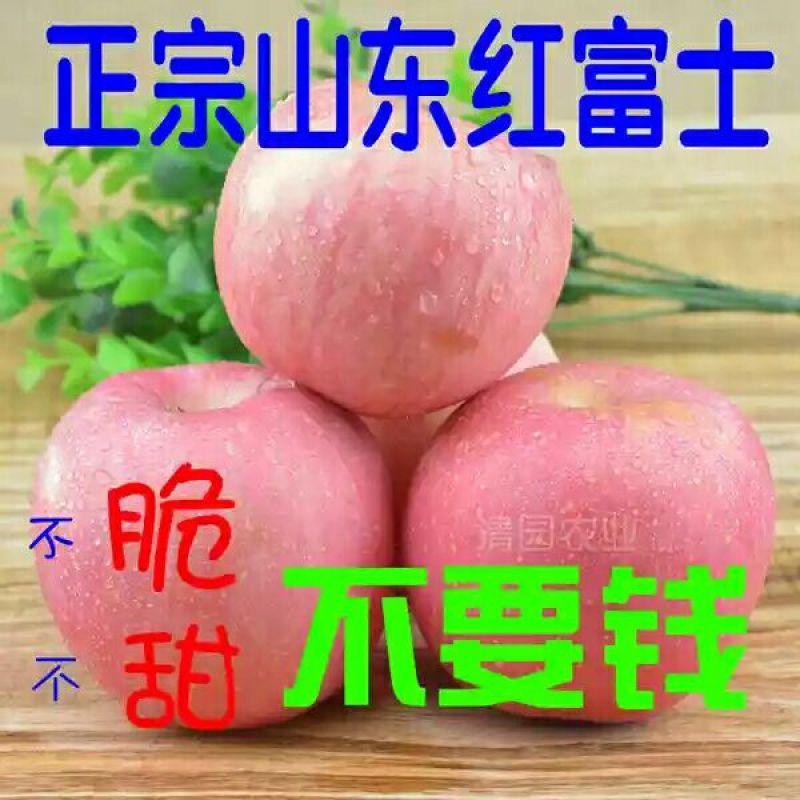 山东烟台红富士苹果纸袋