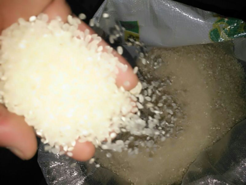 东北大米新米二级