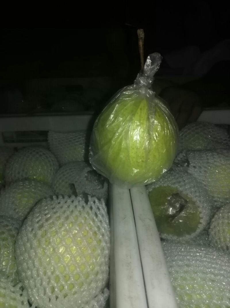 鸭梨300~350g筐装