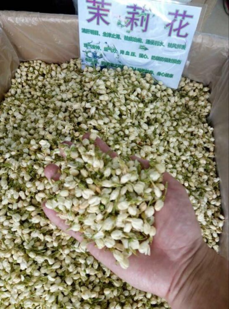 药用茉莉花