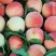 沂蒙霜红桃树苗80cm以上