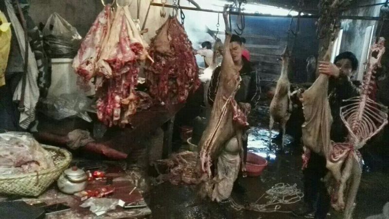 羊肉山羊肉否