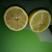 香水柠檬树苗30~50cm