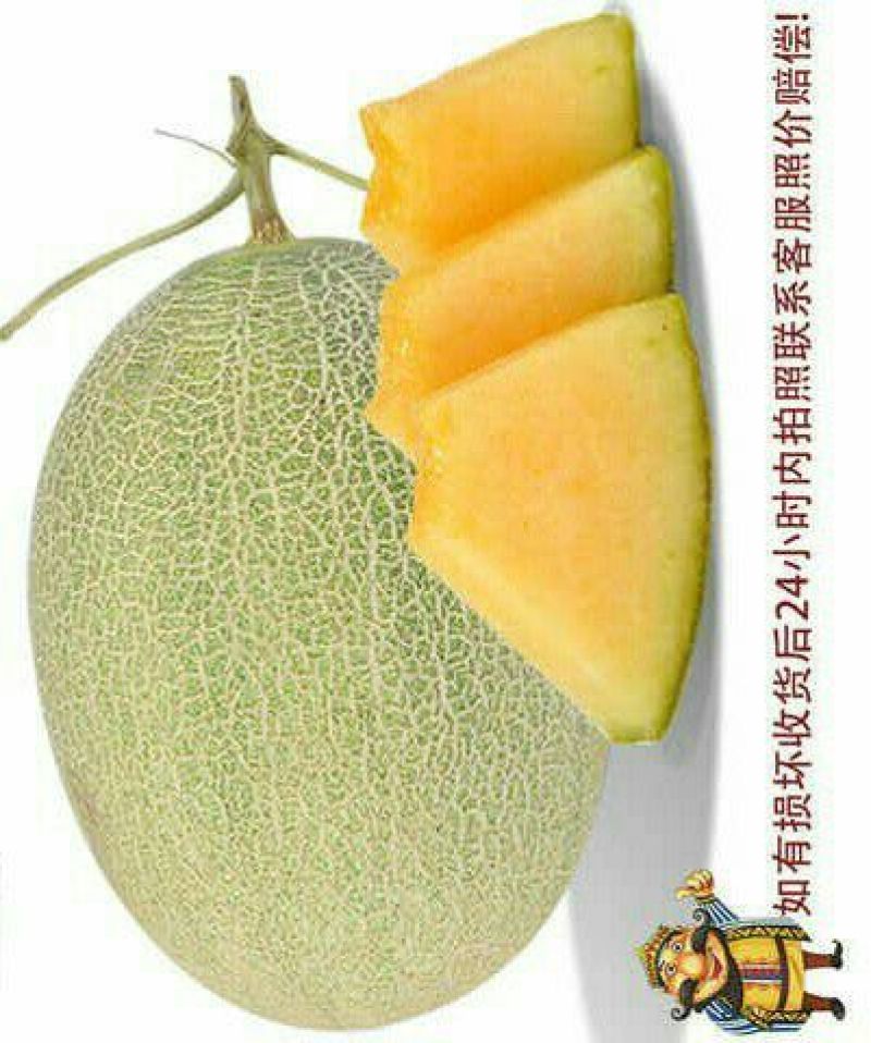 新甜哈密瓜2斤以上长圆形