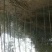 楠竹，原始竹林5~6cm5~6米