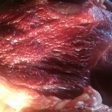 驴肉鲜货