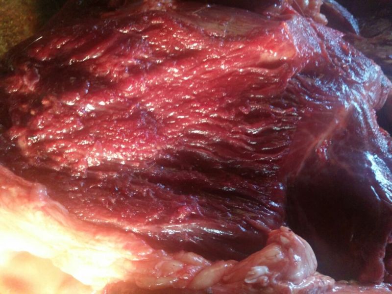 驴肉鲜货