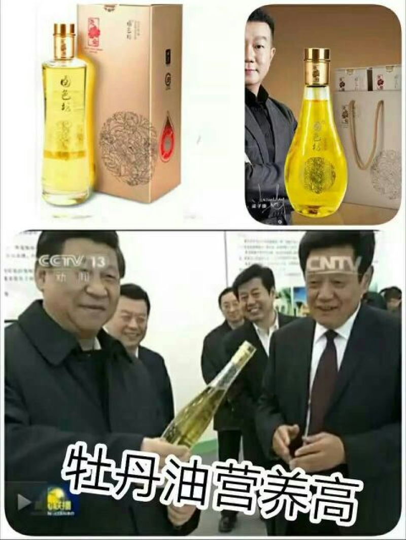 白芍种苗