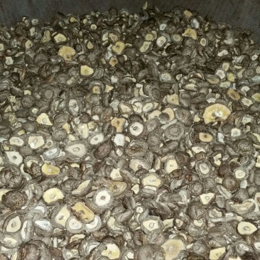 干香菇3cm以下