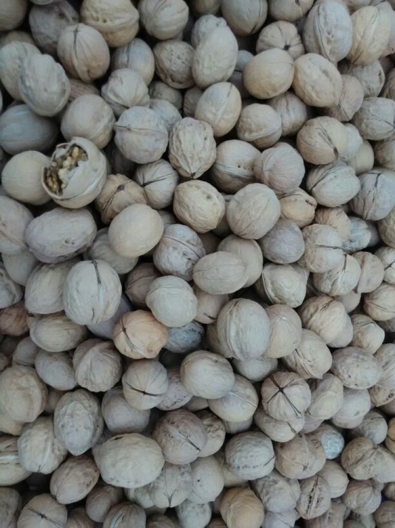 薄皮核桃25mm以下去皮干