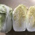 大白菜7斤以上毛菜