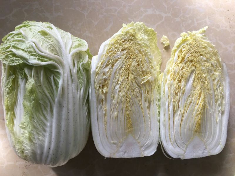大白菜7斤以上毛菜
