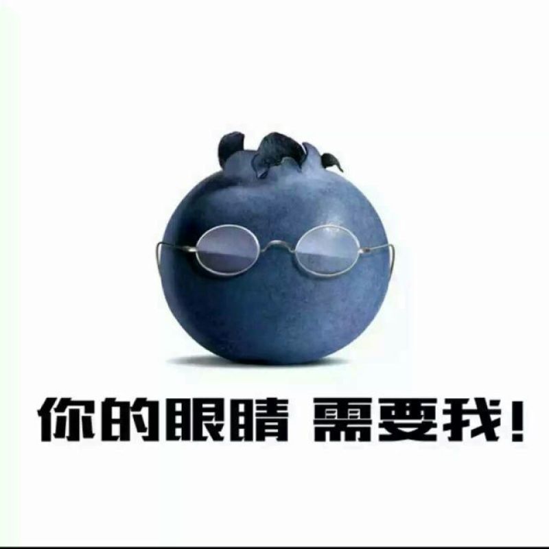 野生蓝莓2~4mm以上