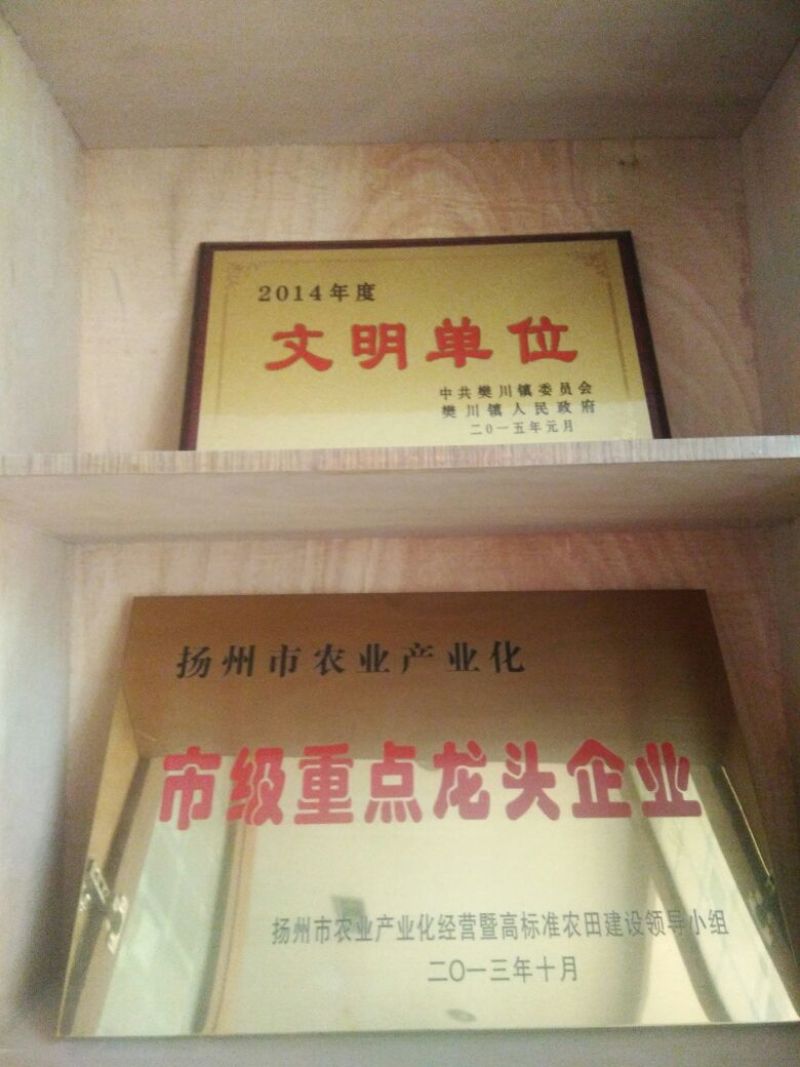 朗德鹅苗250g