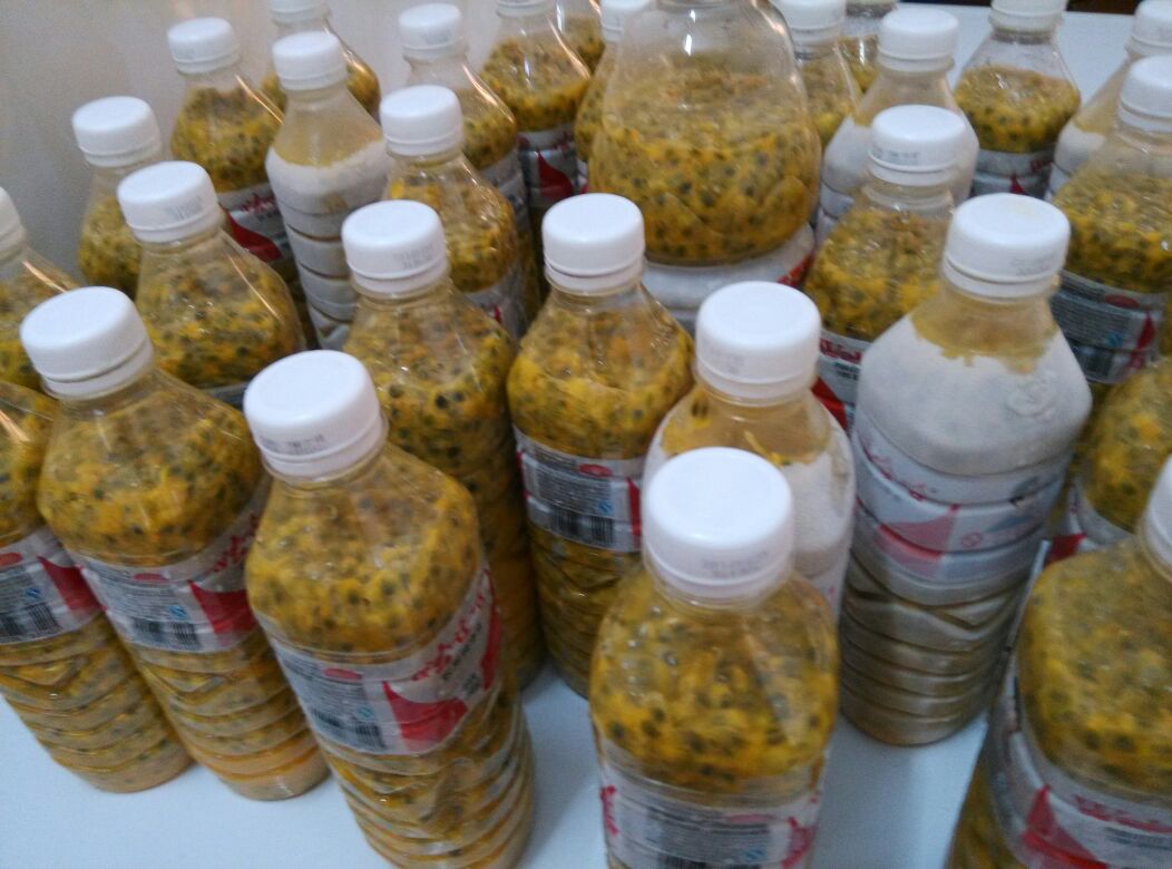 广西玉林市北流市鸡蛋果百香果 紫果 90~100g