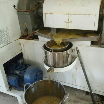 压榨菜籽油一级