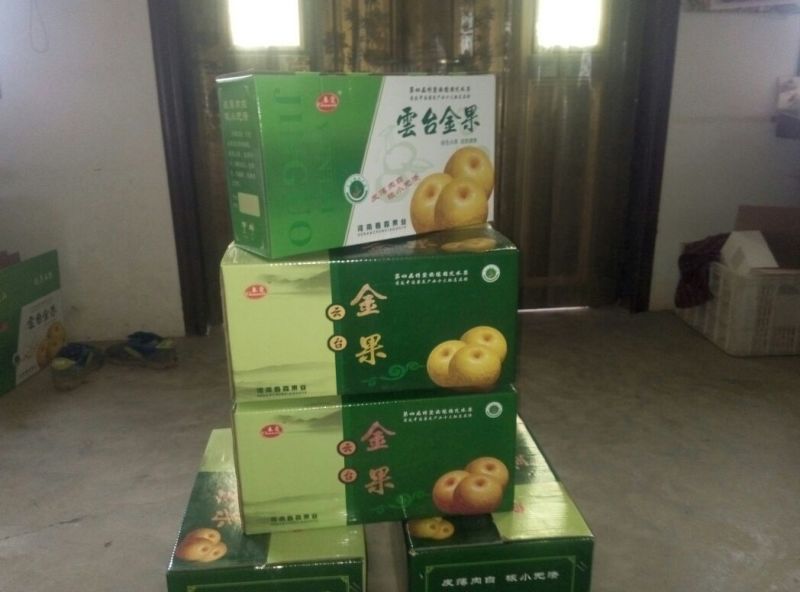 晚秋黄梨500~550g纸箱