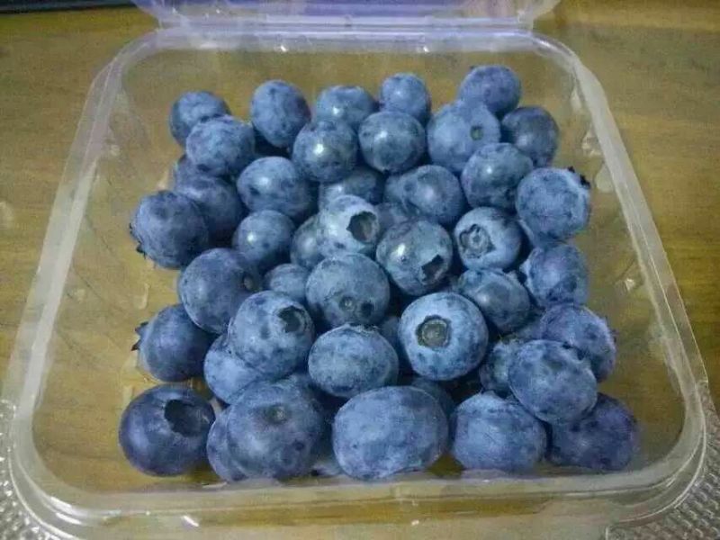 蓝莓8~10mm以上