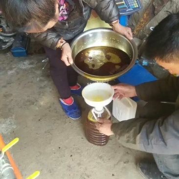 压榨菜籽油