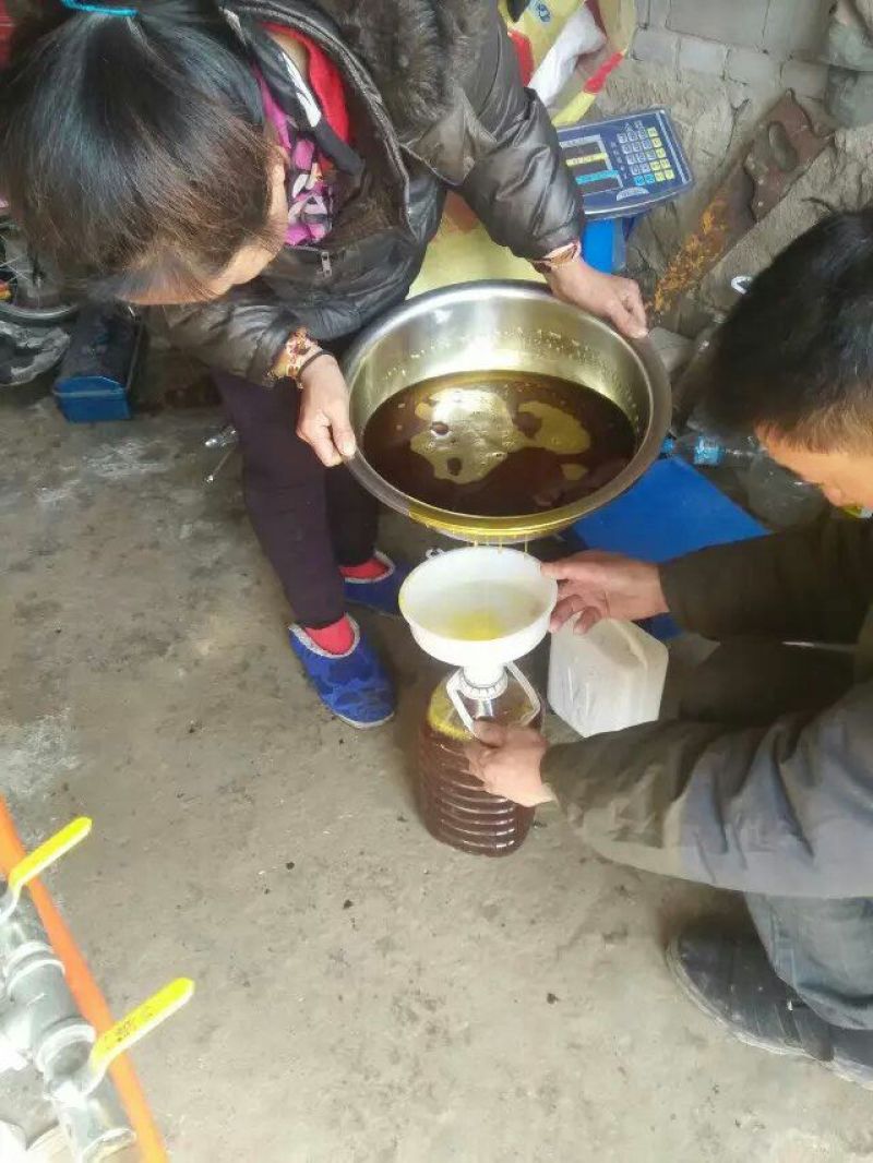 压榨菜籽油