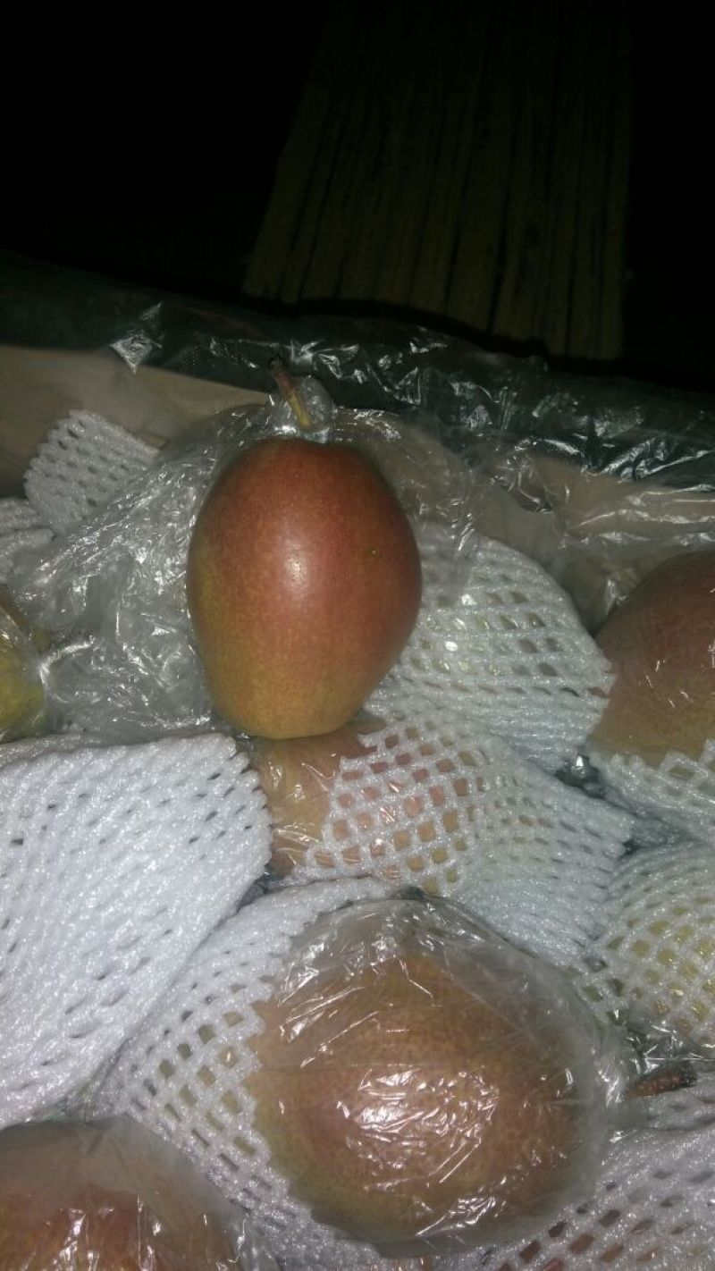 红香酥梨400~450g膜袋