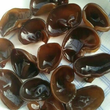干木耳特级
