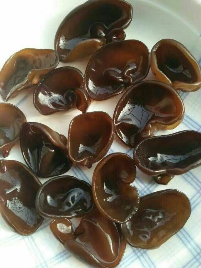 干木耳特级