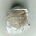 红薯粉条