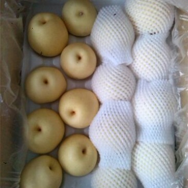 皇冠梨250~300g纸箱