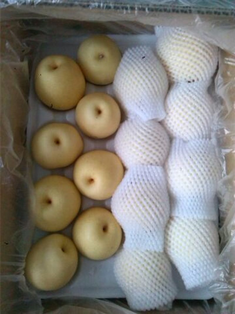 皇冠梨250~300g纸箱
