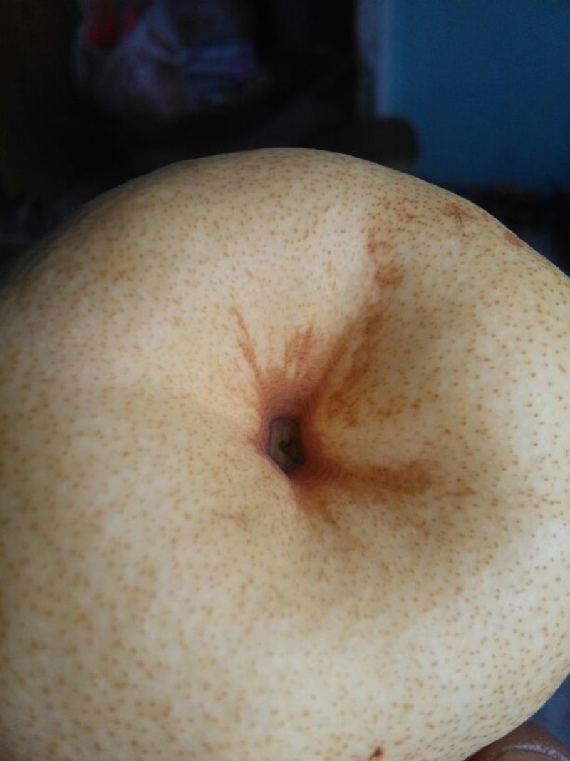酥梨纸箱