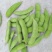 毛豆11-18克