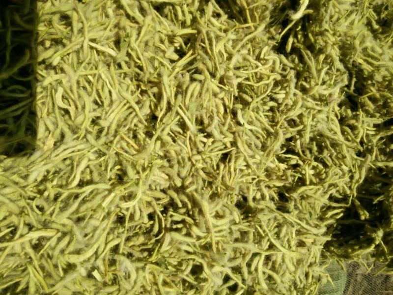 金银花优质金银花质量好