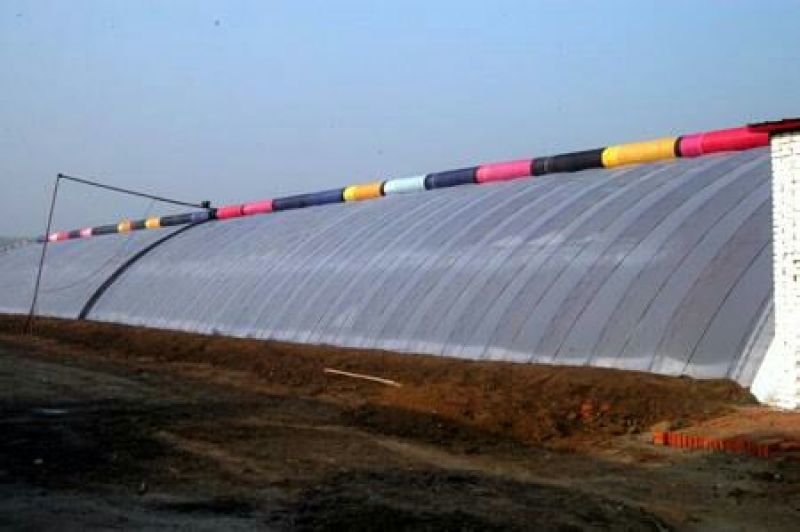 温室大棚连栋温室建造，设计规划及农产品种植技术。