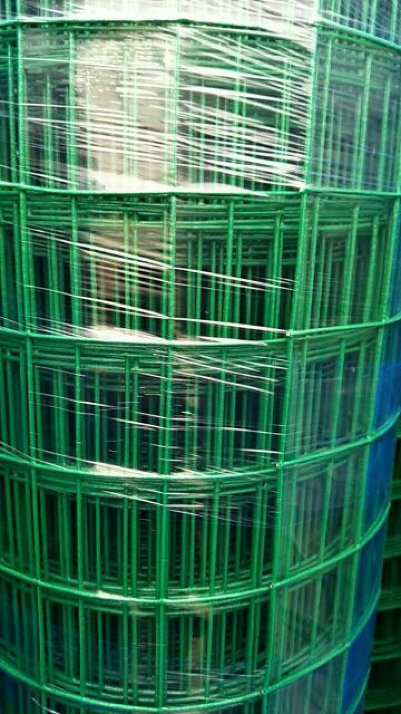 荷兰网50*50mm