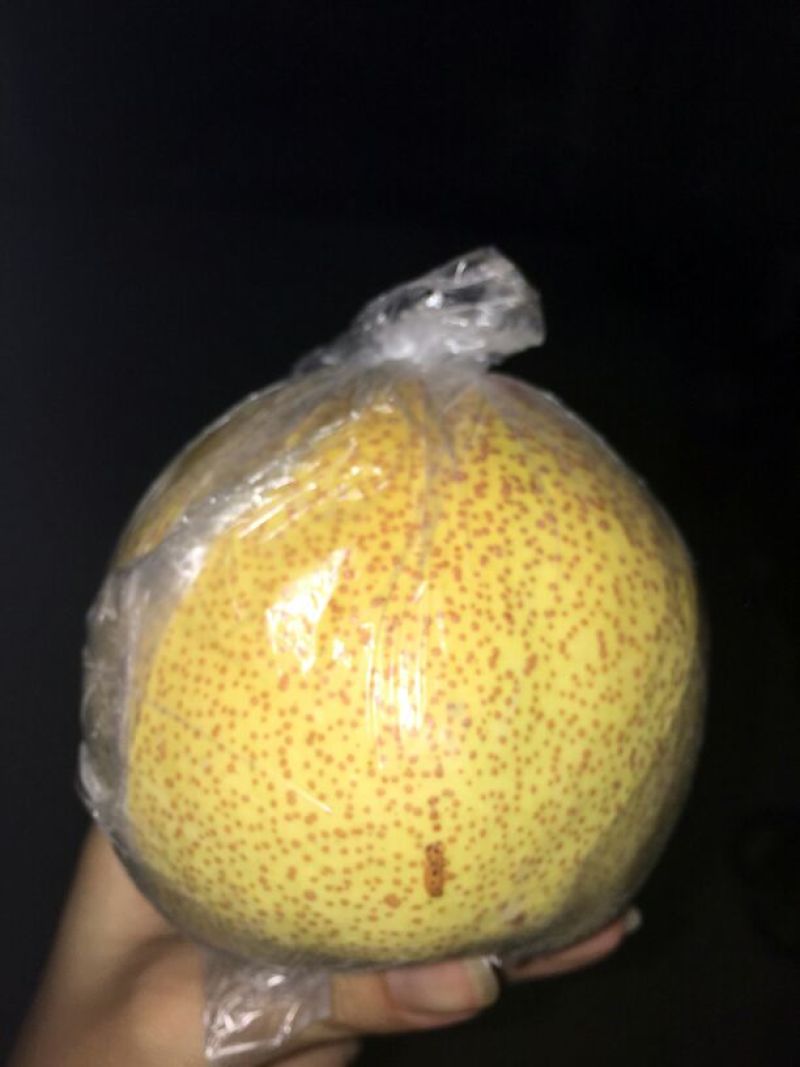 砀山梨250~300g膜袋