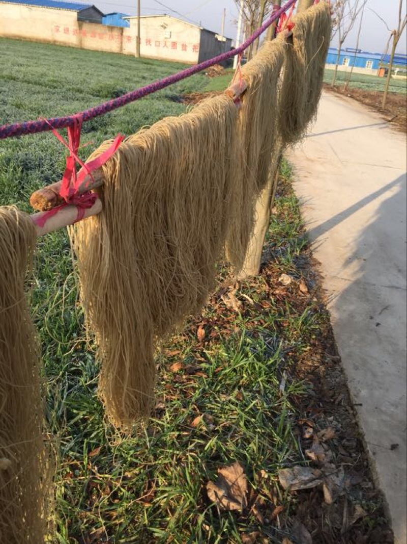 红薯粉丝