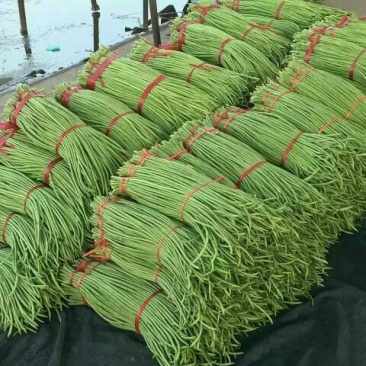 邯郸长豆角