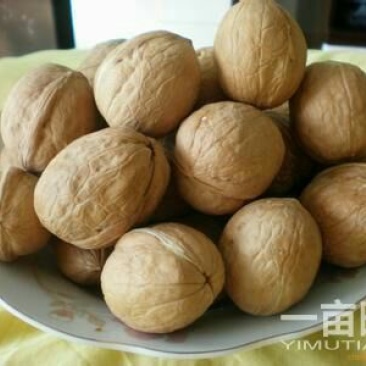 新疆核桃30mm以上去皮干